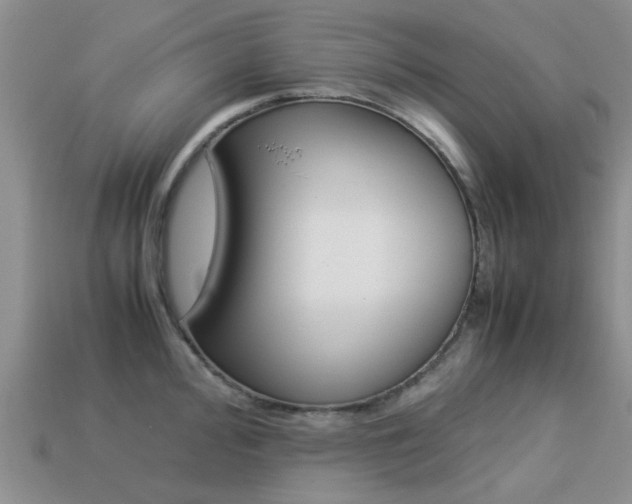 X0000113221000200909100918