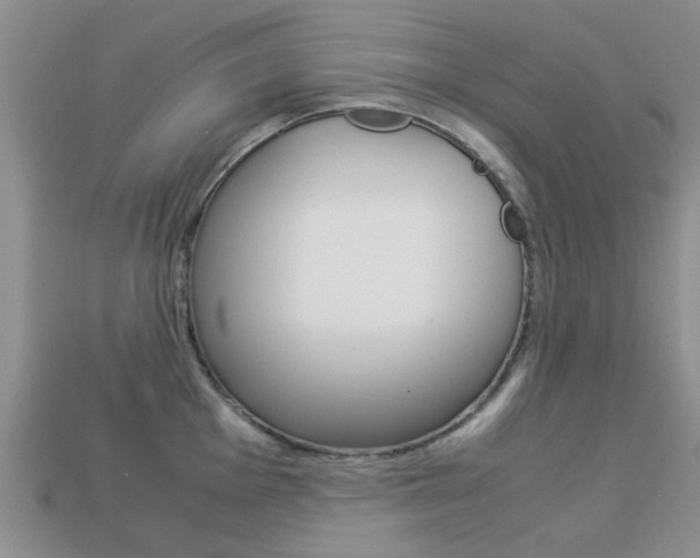 X0000113221001200909100918