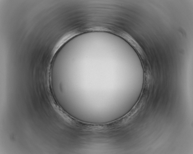 X0000113221002200909100918