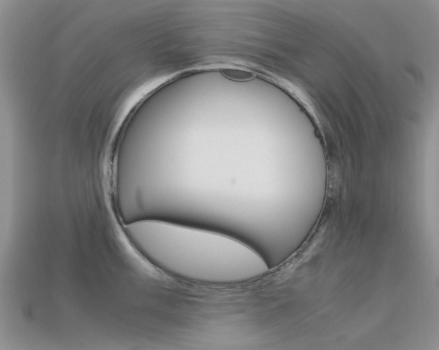 X0000113221003200909100918