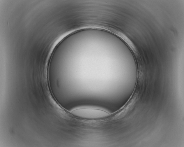 X0000113221004200909100918