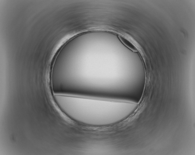 X0000113221005200909100918