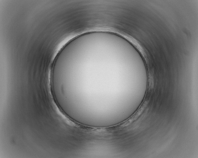 X0000113221006200909100918