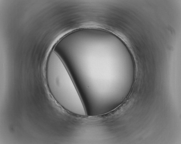 X0000113221008200909100918