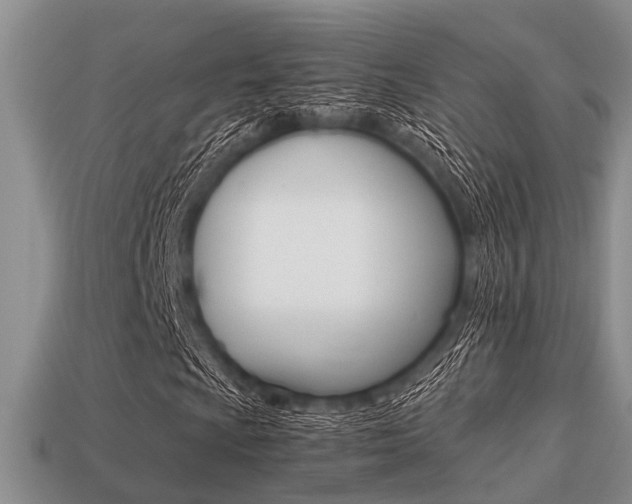 X0000113221009200909100917