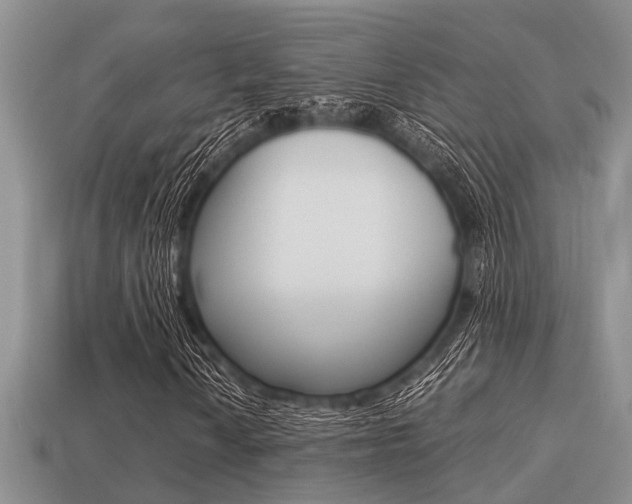 X0000113221010200909100917