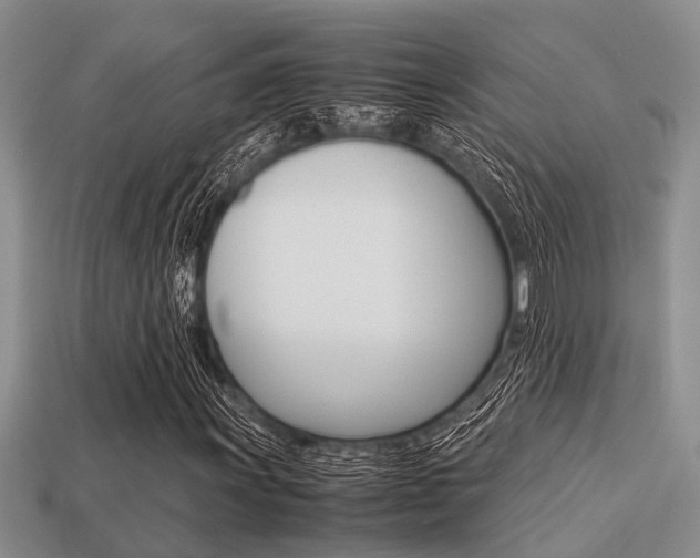 X0000113221011200909100917