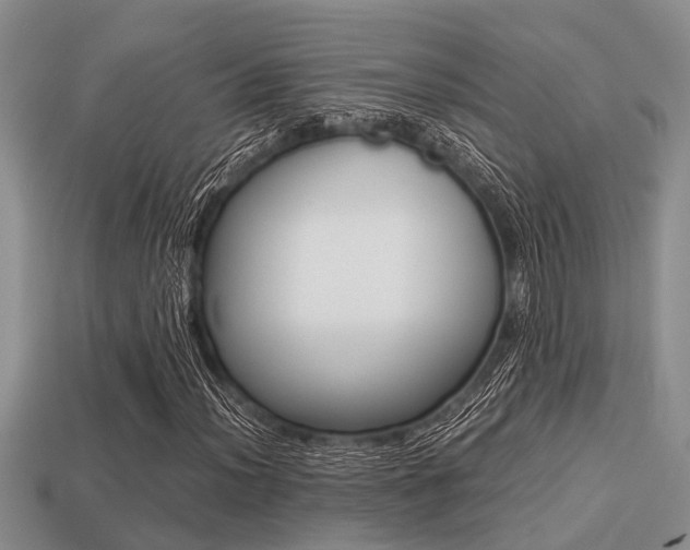 X0000113221012200909100917