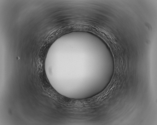X0000113221013200909100917