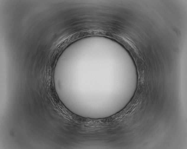 X0000113221015200909100917