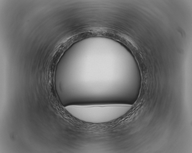 X0000113221016200909100917