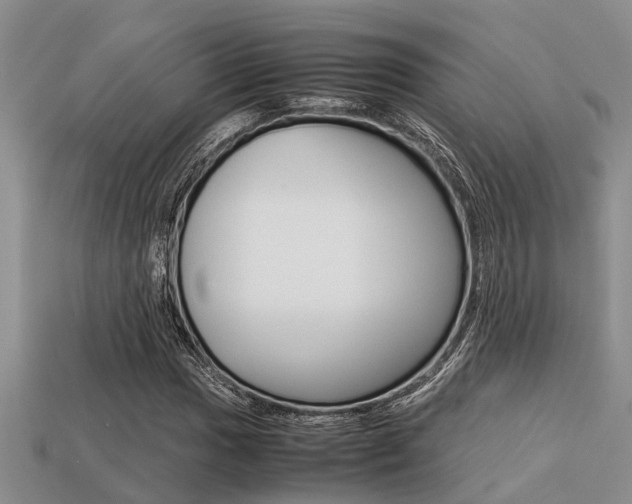 X0000113221017200909100917