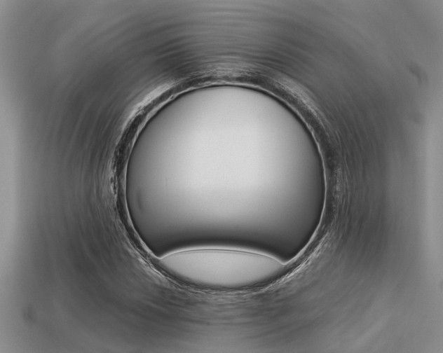 X0000113221018200909100917