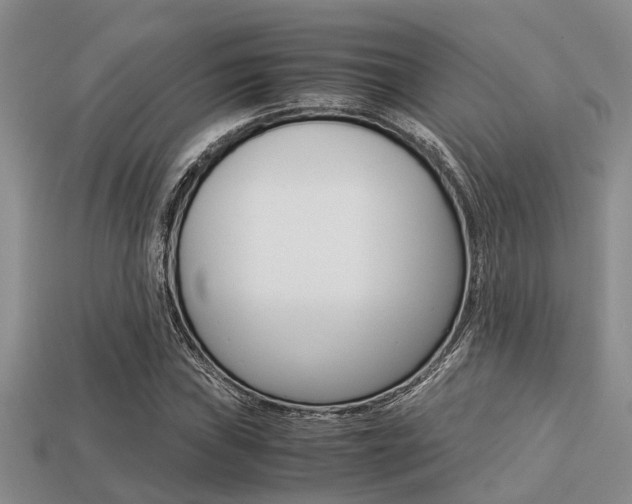 X0000113221019200909100917