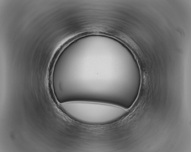X0000113221020200909100917