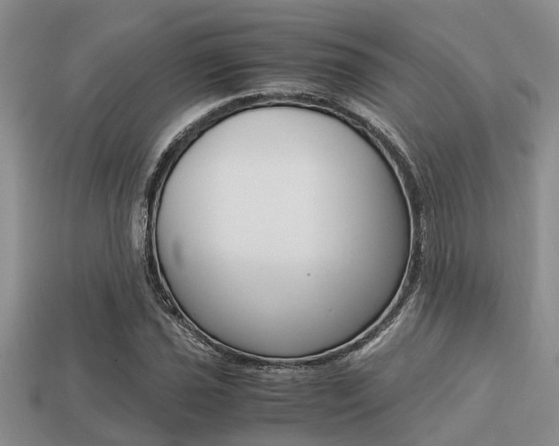 X0000113221021200909100917