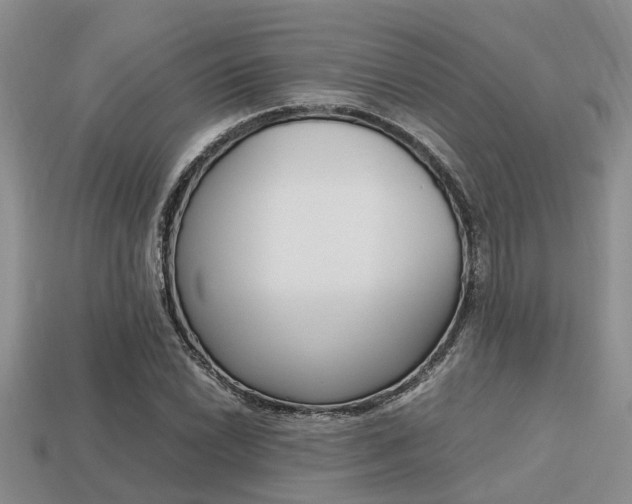 X0000113221022200909100917