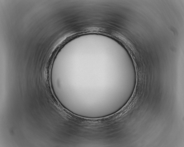 X0000113221023200909100917