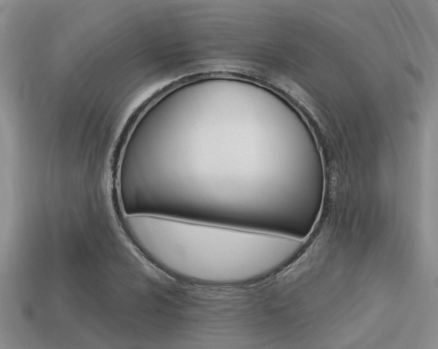 X0000113221024200909100917