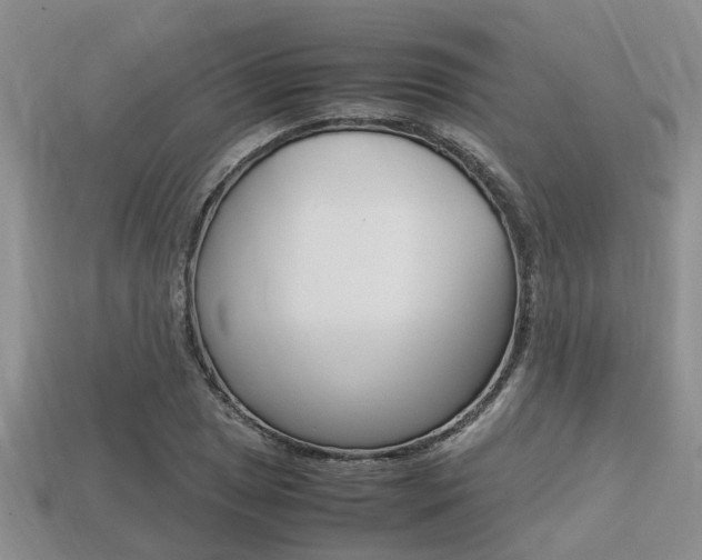 X0000113221025200909100917