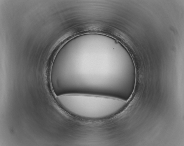 X0000113221026200909100917