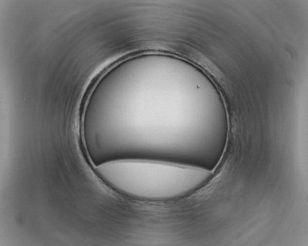 X0000113221028200909100917
