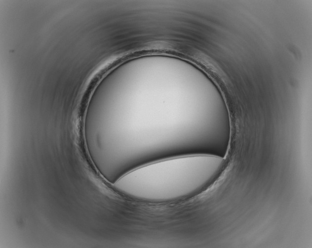 X0000113221029200909100917
