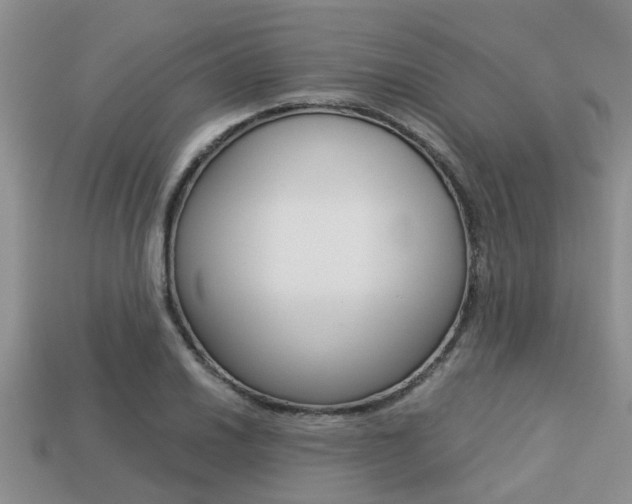 X0000113221030200909100918
