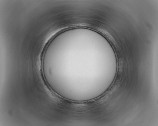 X0000113221031200909100918