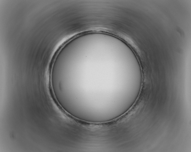 X0000113221032200909100918