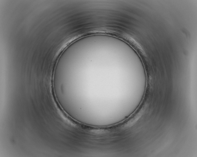 X0000113221033200909100918