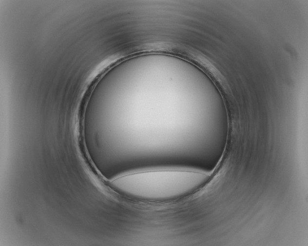 X0000113221034200909100918
