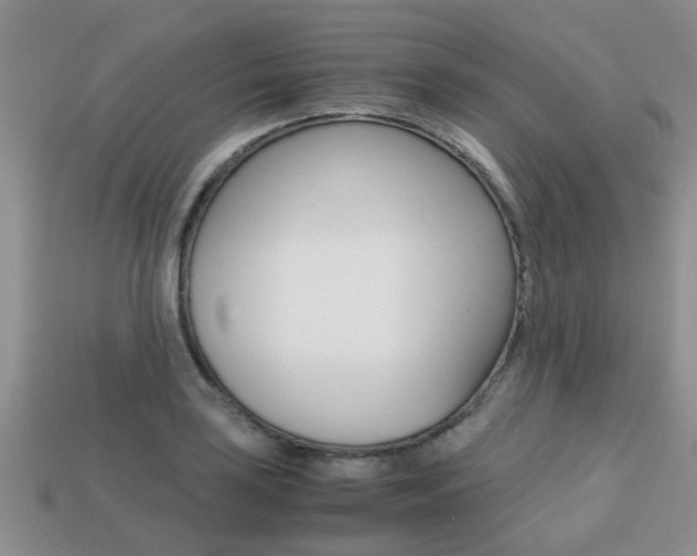 X0000113221035200909100918