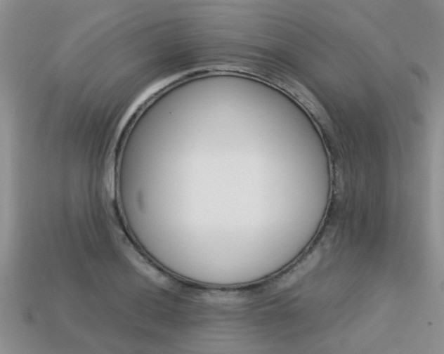 X0000113221036200909100918