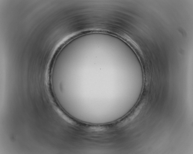 X0000113221037200909100918