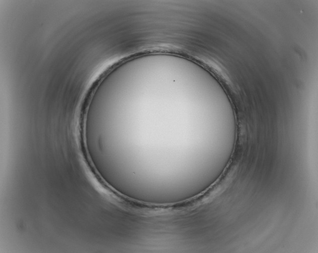 X0000113221038200909100918