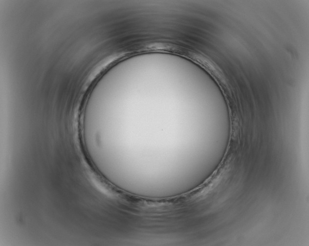 X0000113221039200909100918