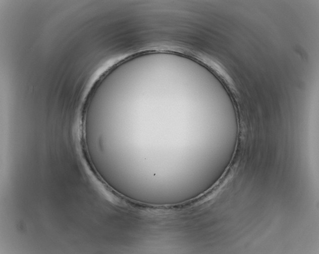 X0000113221040200909100918