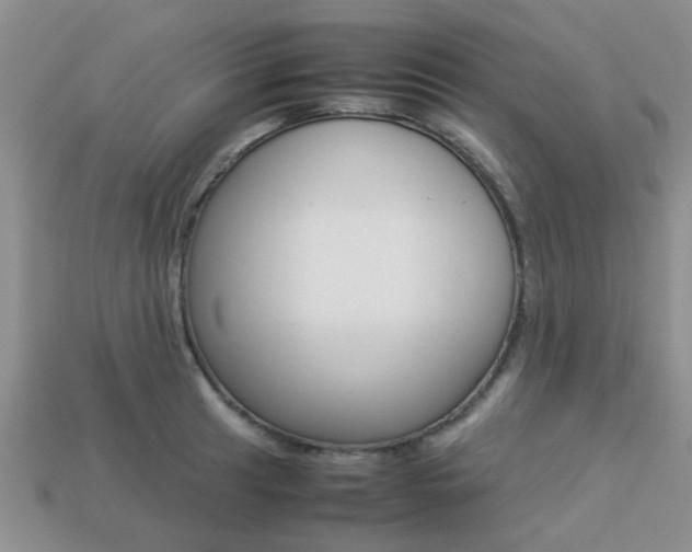 X0000113221041200909100918