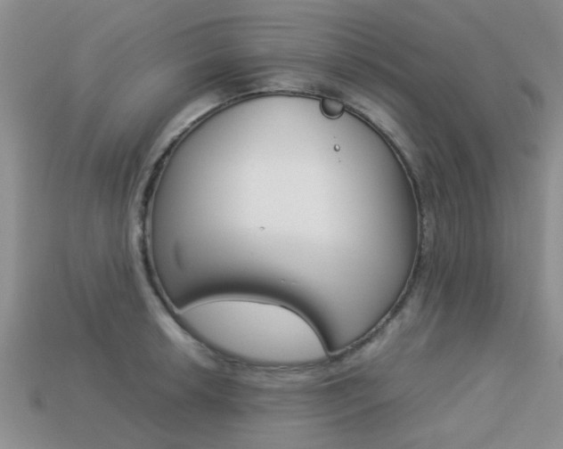 X0000113221042200909100918