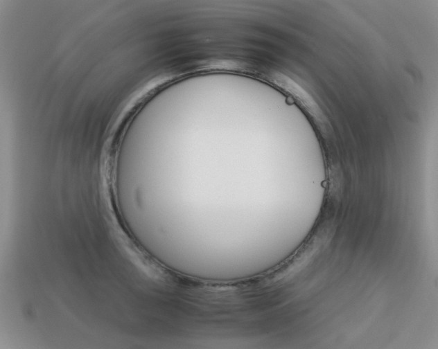 X0000113221043200909100918