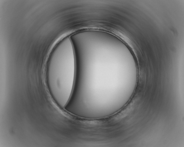 X0000113221045200909100918
