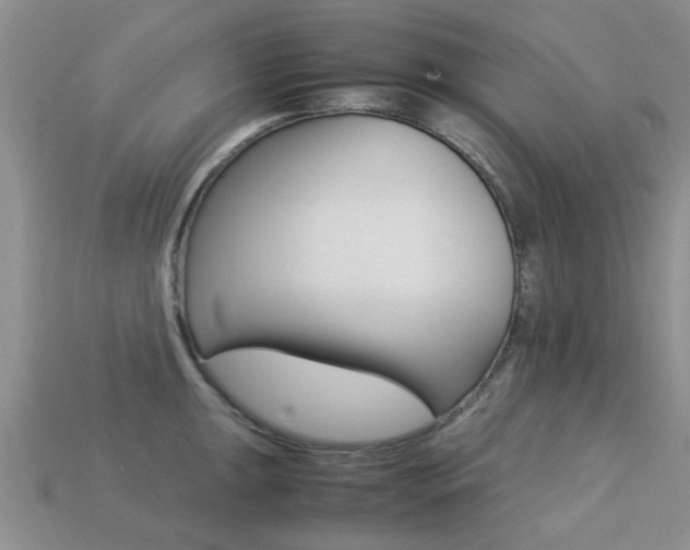 X0000113221047200909100918
