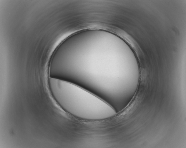 X0000113221048200909100918