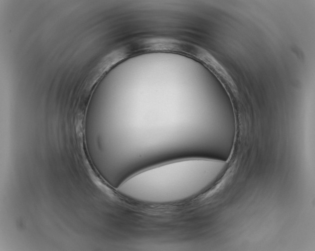 X0000113221049200909100918