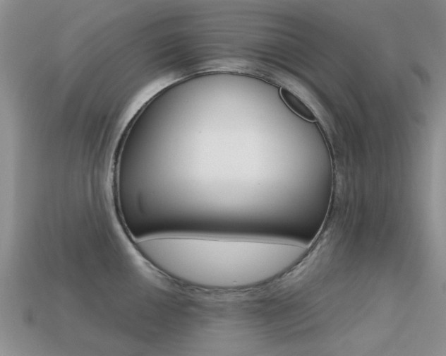 X0000113221050200909100918