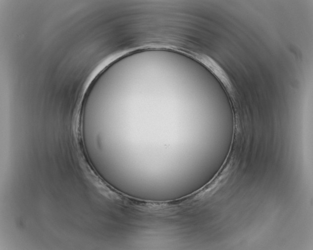 X0000113221052200909100918