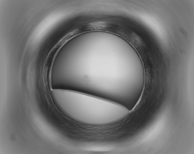 X0000113221054200909100918