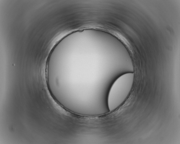 X0000113221055200909100918
