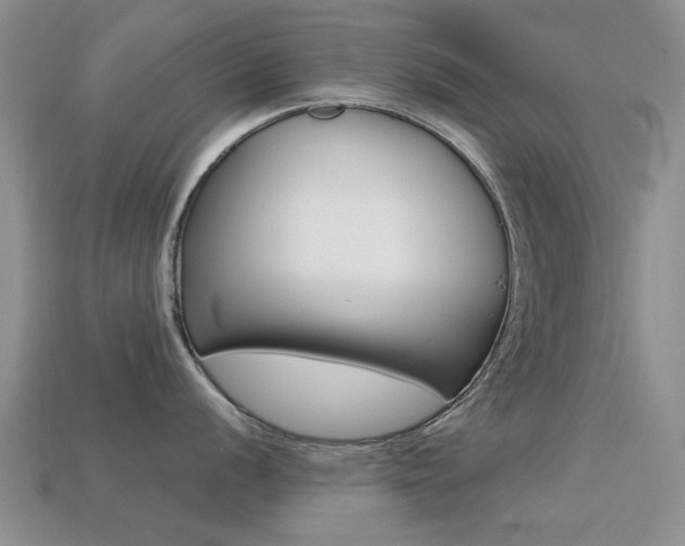 X0000113221056200909100918